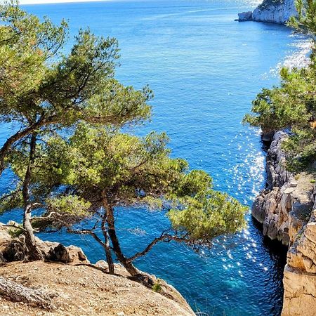 Le Paradis Bleu Calanque De Figuieres, Paddle Et Veranda إنسويس-لا-رودون المظهر الخارجي الصورة