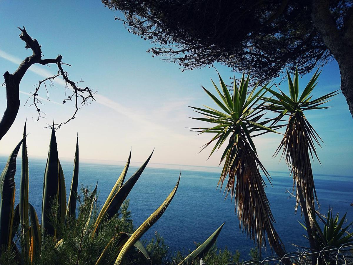 Le Paradis Bleu Calanque De Figuieres, Paddle Et Veranda إنسويس-لا-رودون المظهر الخارجي الصورة